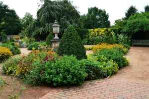 Foliage surrounding brick pathway