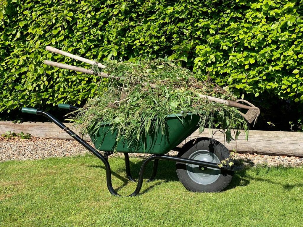 Prevent Weeds: Weed prevention