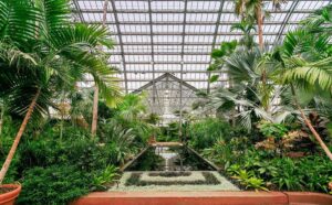 Garfield park conservatory